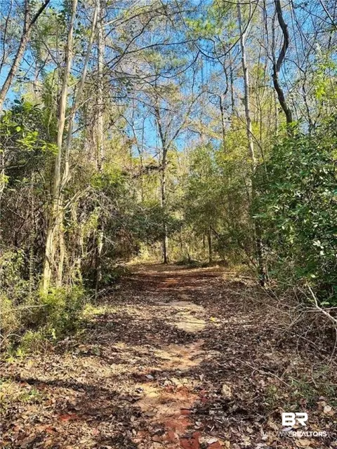 0 N Branson Dr, Mobile, AL 36608 photo 2