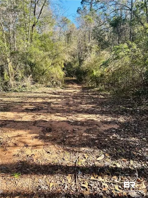 0 N Branson Dr, Mobile, AL 36608 photo 3