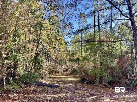 3881 Old Atmore Rd, Flomaton, AL 36441 photo 18