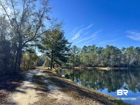 3881 Old Atmore Rd, Flomaton, AL 36441 photo 17