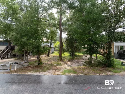 Armadillo Avenue, Orange Beach, AL 36561
