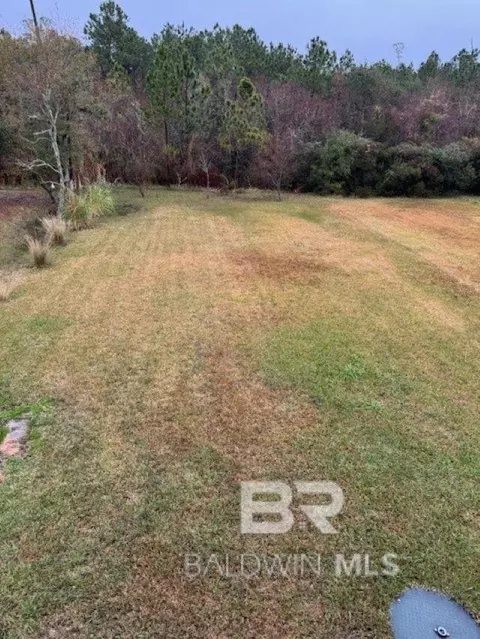 8100 S Coden Belt Rd, Coden, AL 36523 photo 11
