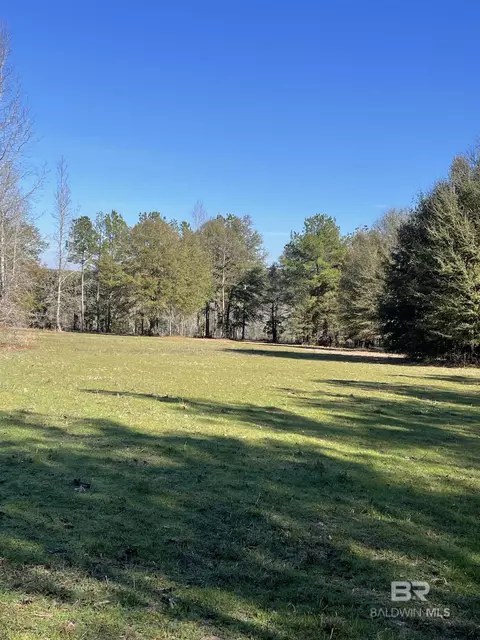 529 Sand Bottom Rd, Peterman, AL 36471