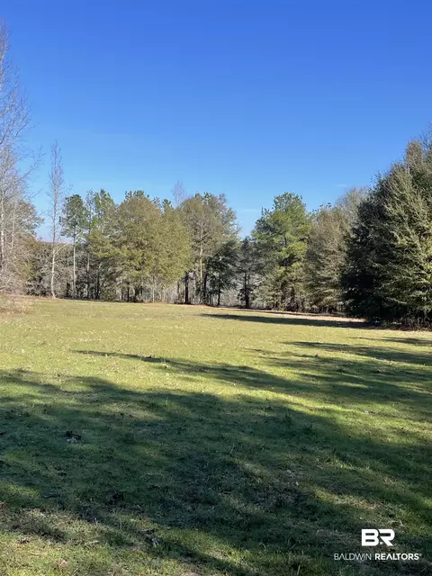529 Sand Bottom Rd, Peterman, AL 36471