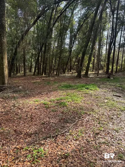 12 Santa Barbara St, Lillian, AL 36549