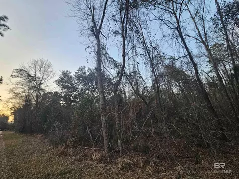 0 Lee Rd, Robertsdale, AL 36567
