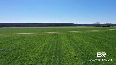 lot1 Mccullough Rd, Atmore, AL 36502