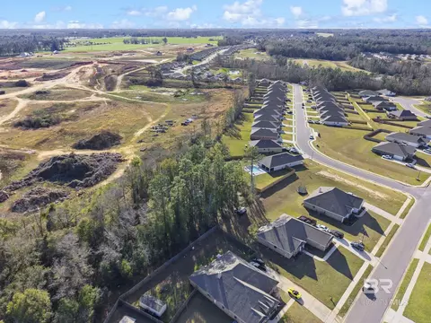 11786 Elemis Dr, Daphne, AL 36526 photo 60