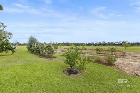 Other - 26071 Woerner Rd, Elberta, AL 36530 photo 23 of 27