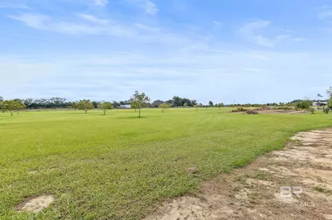 Other - 26071 Woerner Rd, Elberta, AL 36530 photo 21 of 27