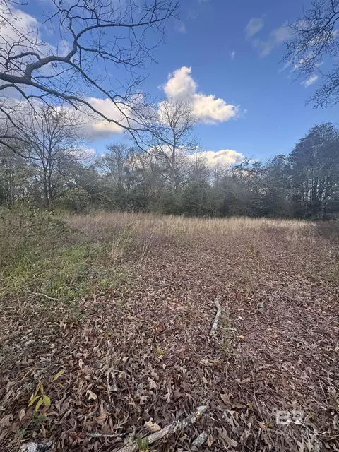 1508 S Alabama Ave, Monroeville, AL 36460