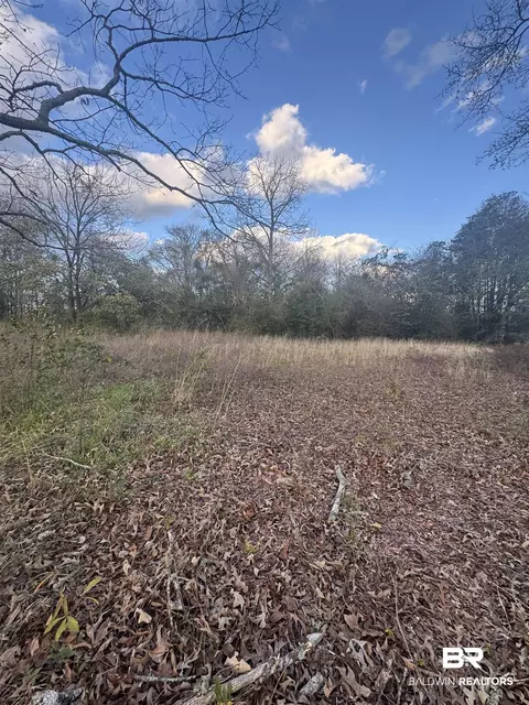 1508 S Alabama Ave, Monroeville, AL 36460