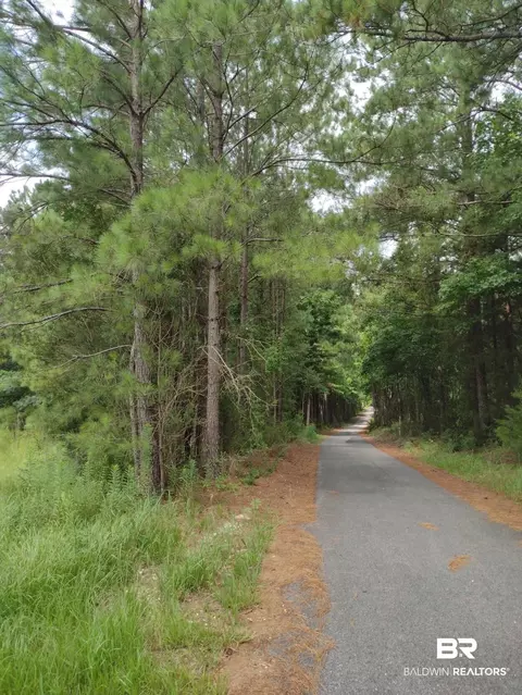 22200 Gap Weekley Rd, Perdido, AL 36562