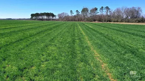 lot8 Mack Pond Rd, Atmore, AL 36502