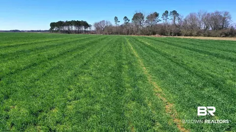 lot8 Mack Pond Rd, Atmore, AL 36502