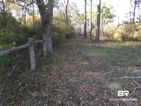27451 N Burkhardt Dr, Elberta, AL 36530