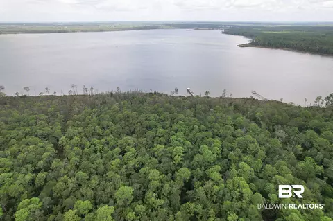 0 Baudin Ln E, Foley, AL 36535 photo 4