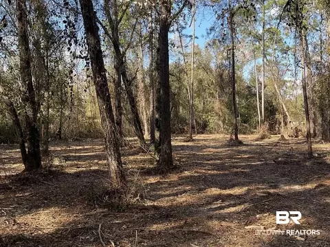 32761 W Seminole Rd, Seminole, AL 36574