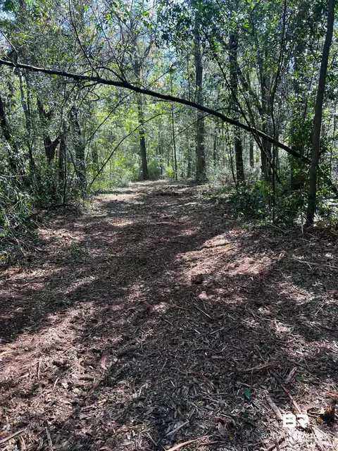 0 Jessamine St, Magnolia Springs, AL 36555