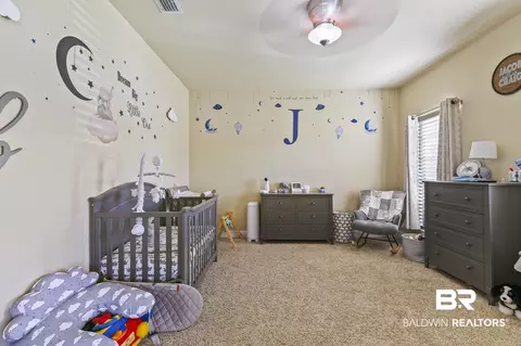 23994 Tullamore Dr, Daphne, AL 36526 photo 33