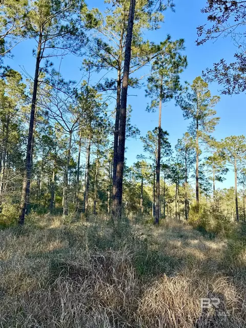 16690 Cc Rd, Elberta, AL 36530 photo 5