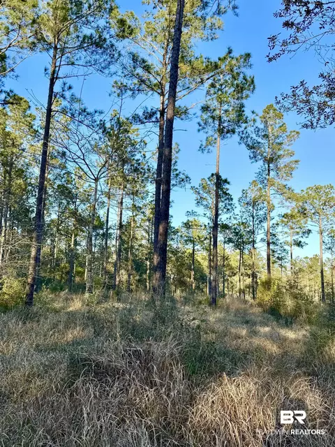 16690 Cc Rd, Elberta, AL 36530 photo 5