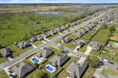 View/Area - 10665 Ahern Dr, Daphne, AL 36526 photo 15 of 16
