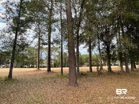 114 Dewitt Cir, Daphne, AL 36526 photo 14