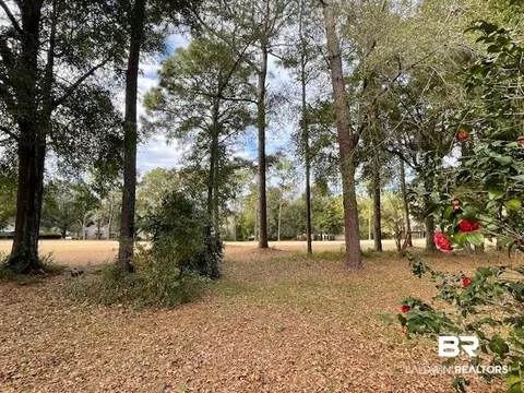 114 Dewitt Cir, Daphne, AL 36526 photo 13