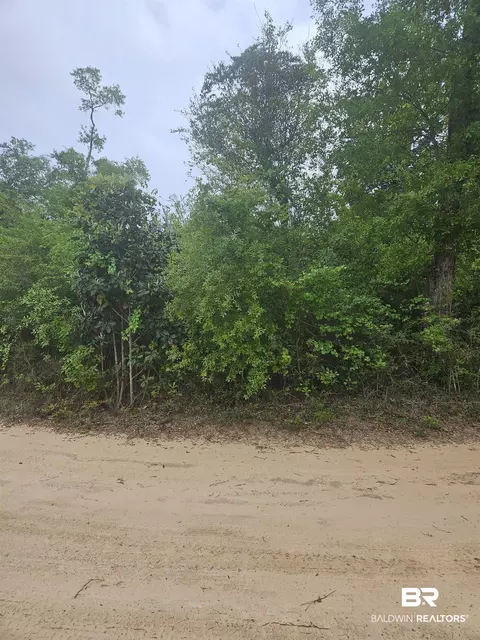 0 Irene Early Ln, Foley, AL 36535