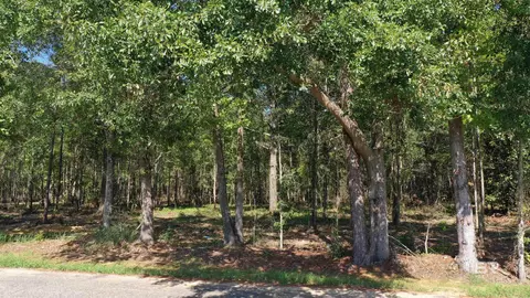 lot5 Johnson Rd, Atmore, AL 36502