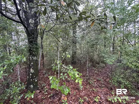 0 Scenic Dr, Mobile, AL 36605 photo 3