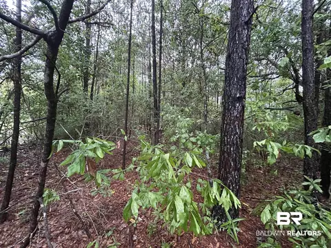 0 Scenic Dr, Mobile, AL 36605 photo 4