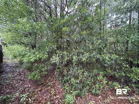 0 Scenic Dr, Mobile, AL 36605 photo 2