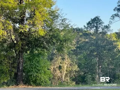 8319 Pine Run, Daphne, AL 36527 photo 5