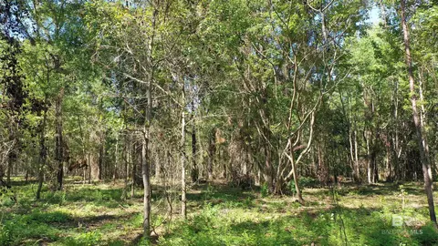 lot6 Harris St, Atmore, AL 36502