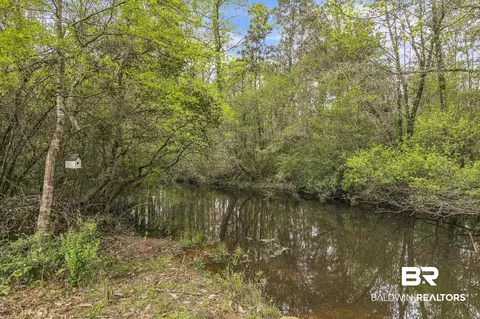 600 N Highway 99, Mcdavid, FL 32568 photo 3