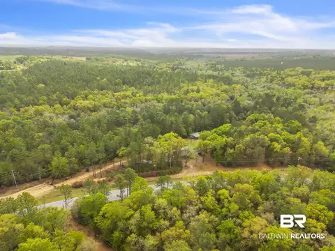 600 N Highway 99, Mcdavid, FL 32568 photo 78