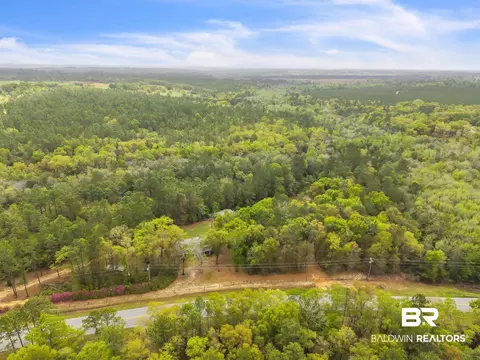 600 N Highway 99, Mcdavid, FL 32568 photo 79