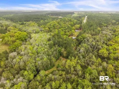 600 N Highway 99, Mcdavid, FL 32568 photo 81