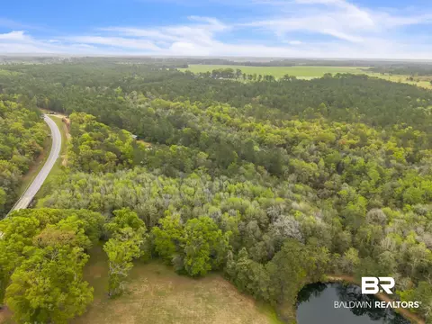 600 N Highway 99, Mcdavid, FL 32568 photo 80