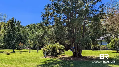 4925 Britton Lige Rd, Millry, AL 36558 photo 68