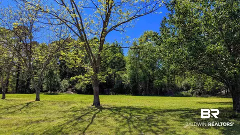 4925 Britton Lige Rd, Millry, AL 36558 photo 69