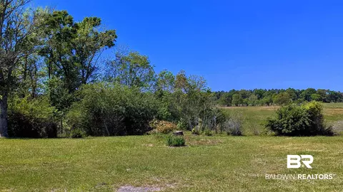 4925 Britton Lige Rd, Millry, AL 36558 photo 67