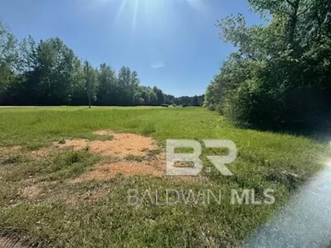 0 Clearview Rd, Flomaton, AL 36441 photo 3
