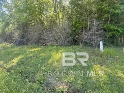 0 Clearview Rd, Flomaton, AL 36441 photo 5
