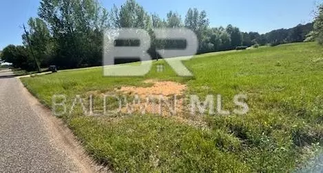 0 Clearview Rd, Flomaton, AL 36441 photo 6