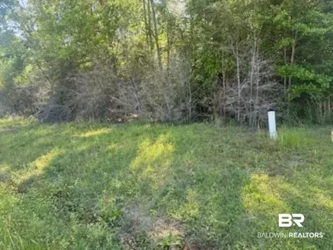 0 Clearview Rd, Flomaton, AL 36441 photo 5