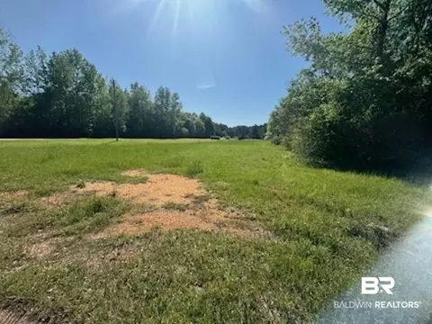 0 Clearview Rd, Flomaton, AL 36441 photo 3