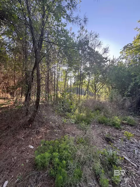0 Charlie Head Rd, Stapleton, AL 36578
